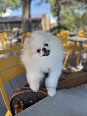 Seasons By 10/Fold (Formerly 10/Fold Biscuits) by null