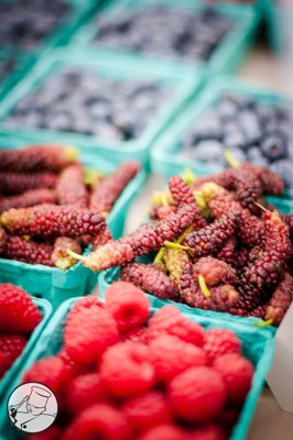 Vesta Foodservice by null