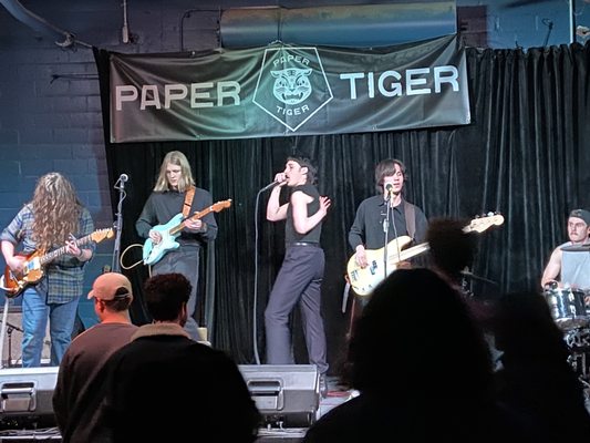 Paper Tiger by null