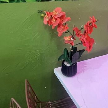 Sisters Cafe Shop - Planted inside - Coffee & Tea Near Me - San Francisco, California Sisters Cafe Shop - Planted inside - Coffee & Tea Near Me - San Francisco, California