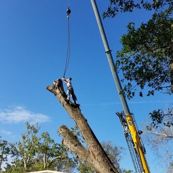 Stewart's Tree Pro - Proudly providing Tree Trimming, Tree Removal, and all Tree care services to the greater Daytona Beach area and most of Volusia County. Fami - Tree Services Near Me - Port Orange, Florida Stewart's Tree Pro - Proudly providing Tree Trimming, Tree Removal, and all Tree care services to the greater Daytona Beach area and most of Volusia County. Fami - Tree Services Near Me - Port Orange, Florida