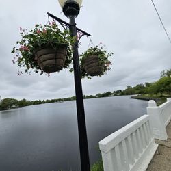 Argyle Park - What a nice day out