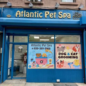 Atlantic Pet Spa - Atlantic Pet Spa - Pet Groomers Near Me - Brooklyn, New York