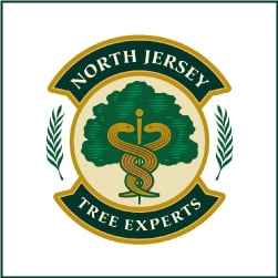 North Jersey Tree Experts - tree service in Fair Lawn, NJ