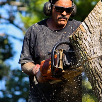 C&M Tree Specialists - Tree Services Near Me - Sewell, New Jersey C&M Tree Specialists - Tree Services Near Me - Sewell, New Jersey