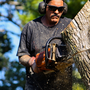 C&M Tree Specialists