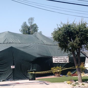 L & A Pest Control - Termite fumigation for a 2-story family house - Pest Control Near Me - Sunland, California L & A Pest Control - Termite fumigation for a 2-story family house - Pest Control Near Me - Sunland, California