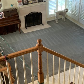 Brady's Carpet Care - The boss inspecting - Carpet Cleaning Near Me Brady's Carpet Care - The boss inspecting - Carpet Cleaning Near Me