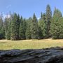 Photo of Holey Meadow Campground