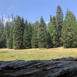 Holey Meadow Campground