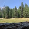 Holey Meadow Campground gift card