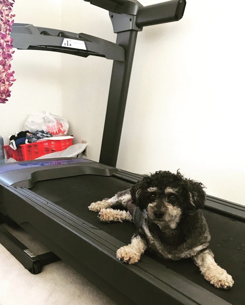 Tender Loving Care Animal Hospital 64 Photos &amp; 100