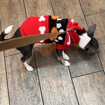 Hobscot Pet Supply - Very good material and kept my chihuahua warm have very small sizes - Mount Dora, Florida