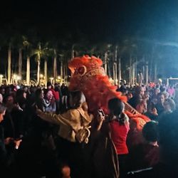 Chinese New Year Celebration