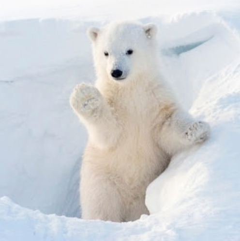 Angel Face Preschool & Childcare - childcare center in Las Vegas, NV