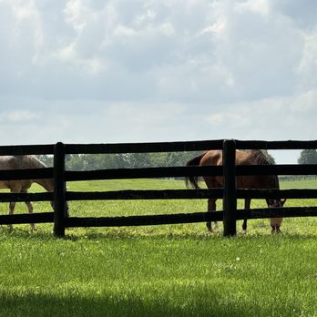 Lane's End - Horse Racing Near Me - Versailles, Kentucky Lane's End - Horse Racing Near Me - Versailles, Kentucky
