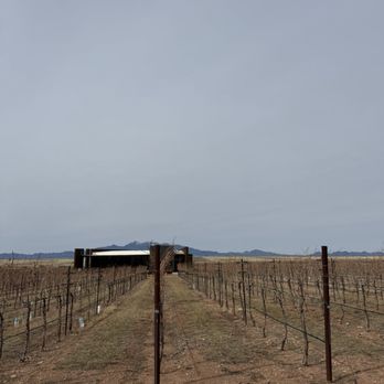 Los Milics Vineyards - Wine Tasting Room Near Me - Elgin, Arizona