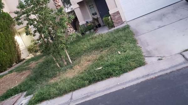 Pinnacle Property Management Las Vegas Nv PINNACLE COMMUNITY ASSOCIATION MANAGEMENT - Updated July 2025 - 33