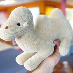 Home Hot Yoga - Hammill the Camel. One of our mascots. (He's well-hydrated!)