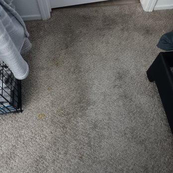 Stellar Restoration - Carpet Cleaning Near Me Stellar Restoration - Carpet Cleaning Near Me