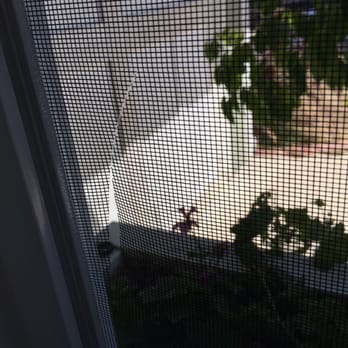 Hardy Windows - The screen they will replace - Windows Installation Near Me - Placentia, California Hardy Windows - The screen they will replace - Windows Installation Near Me - Placentia, California