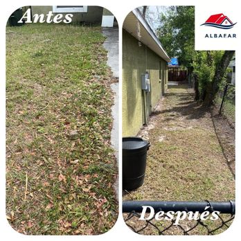 Albafar - Leaf Cleaning - Tree Services Near Me Albafar - Leaf Cleaning - Tree Services Near Me