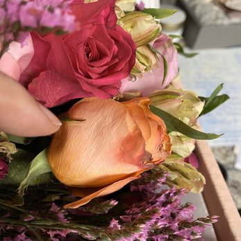 UrbanStems - Frozen flowers - Florists Near Me UrbanStems - Frozen flowers - Florists Near Me