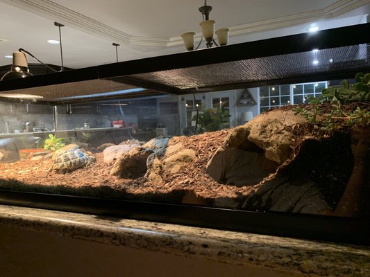 AMAZON REPTILE CENTER - 135 Photos & 157 Reviews - Reptile Shops - 8851