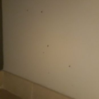 Great Wolf Lodge - Bathroom base board wall - Resorts Near Me - Grapevine, Texas Great Wolf Lodge - Bathroom base board wall - Resorts Near Me - Grapevine, Texas