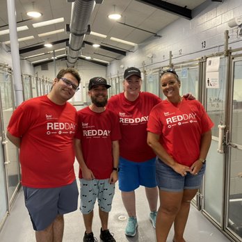 Ann Edwards - Keller Williams Realty - Ahhh the puppies make RED Day delightful - Real Estate Agents Near Me - Bradenton, Florida Ann Edwards - Keller Williams Realty - Ahhh the puppies make RED Day delightful - Real Estate Agents Near Me - Bradenton, Florida
