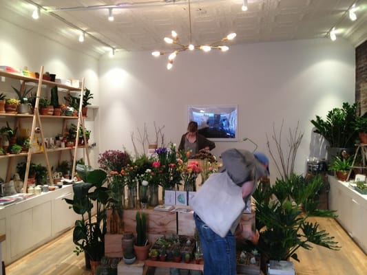 Homecoming by null Homecoming by null