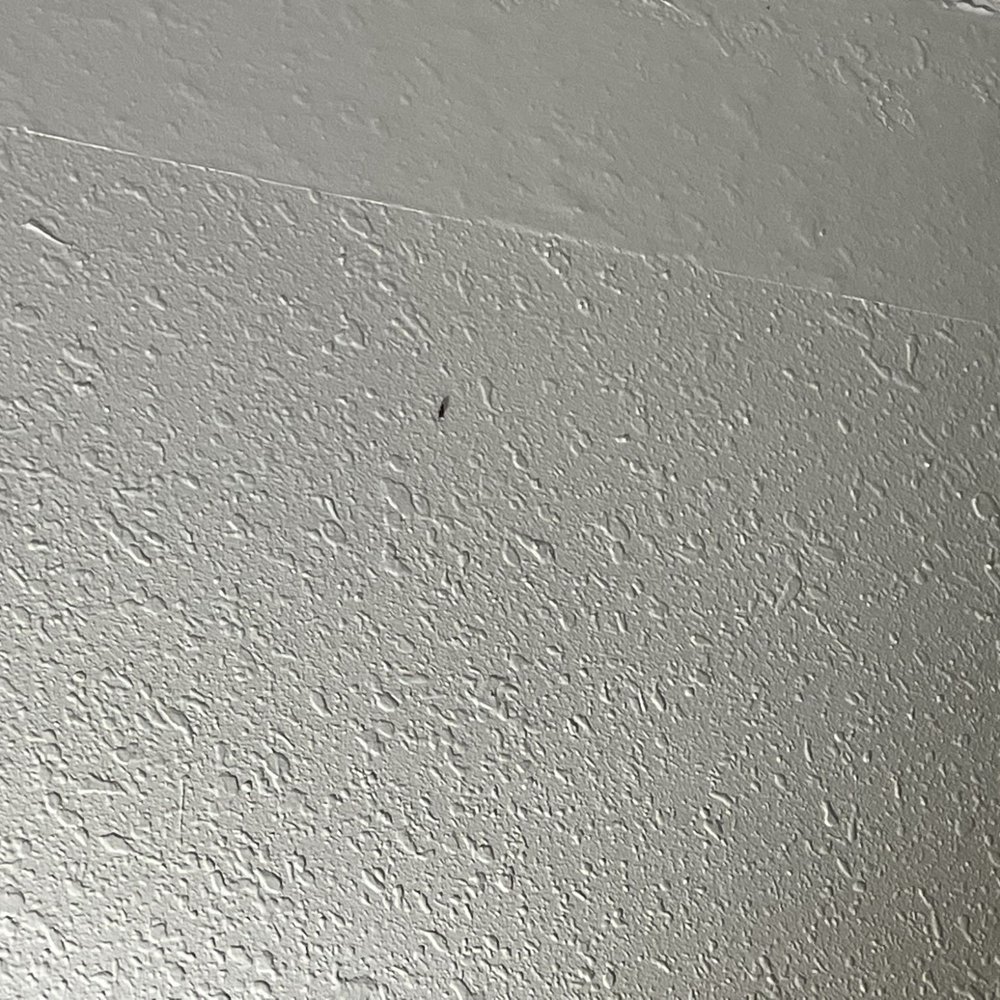 The flash scared off the other bugs The flash scared off the other bugs