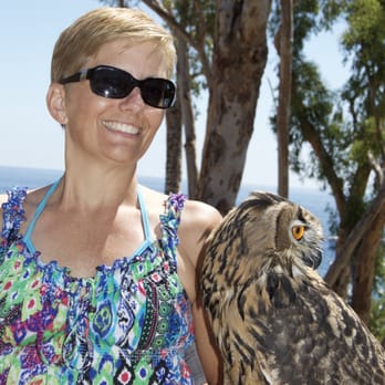 Catalina Falconry Experience - Active Life Near Me - Avalon, California Catalina Falconry Experience - Active Life Near Me - Avalon, California