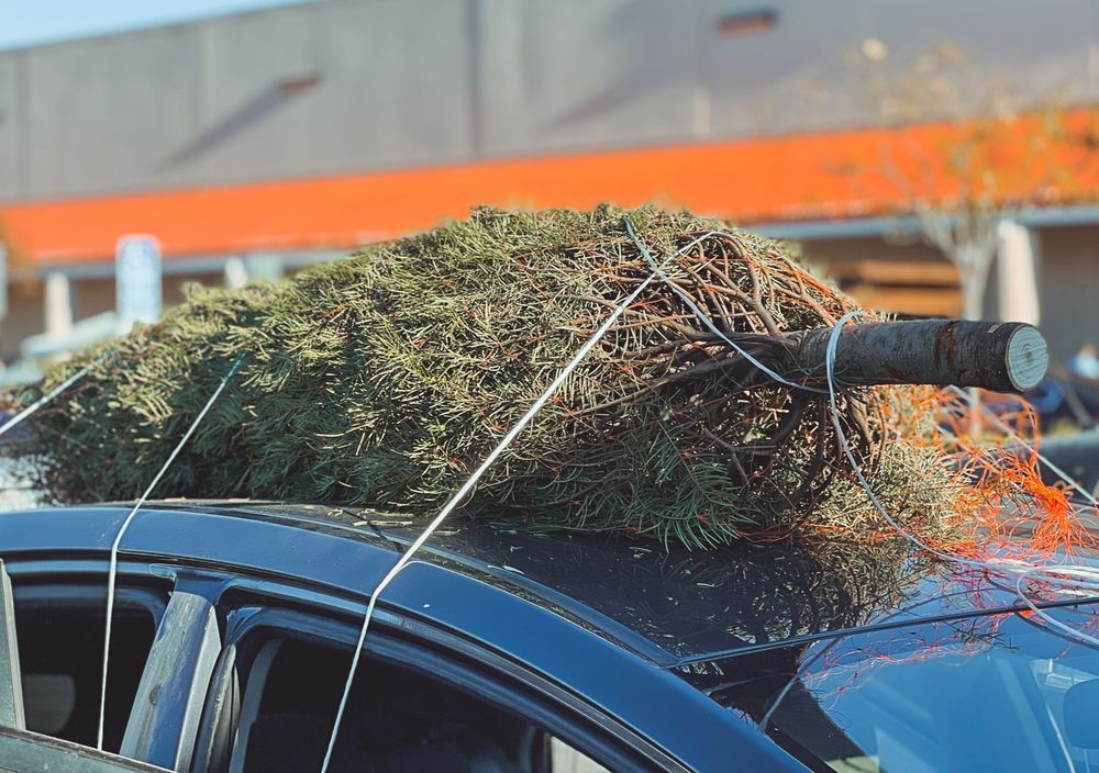 THE HOME DEPOT Updated May 2024 181 Photos & 460 Reviews 1200