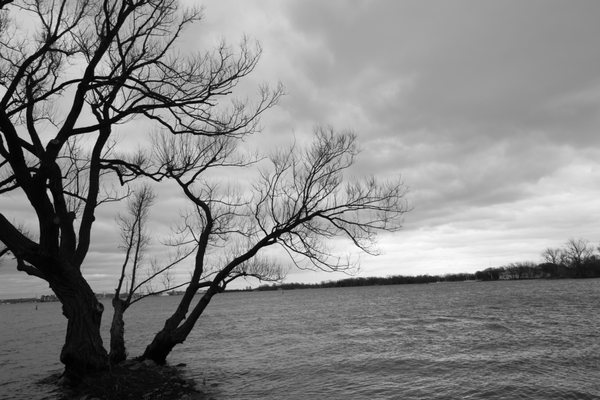 Toronto Island Park Olympic Island by null
