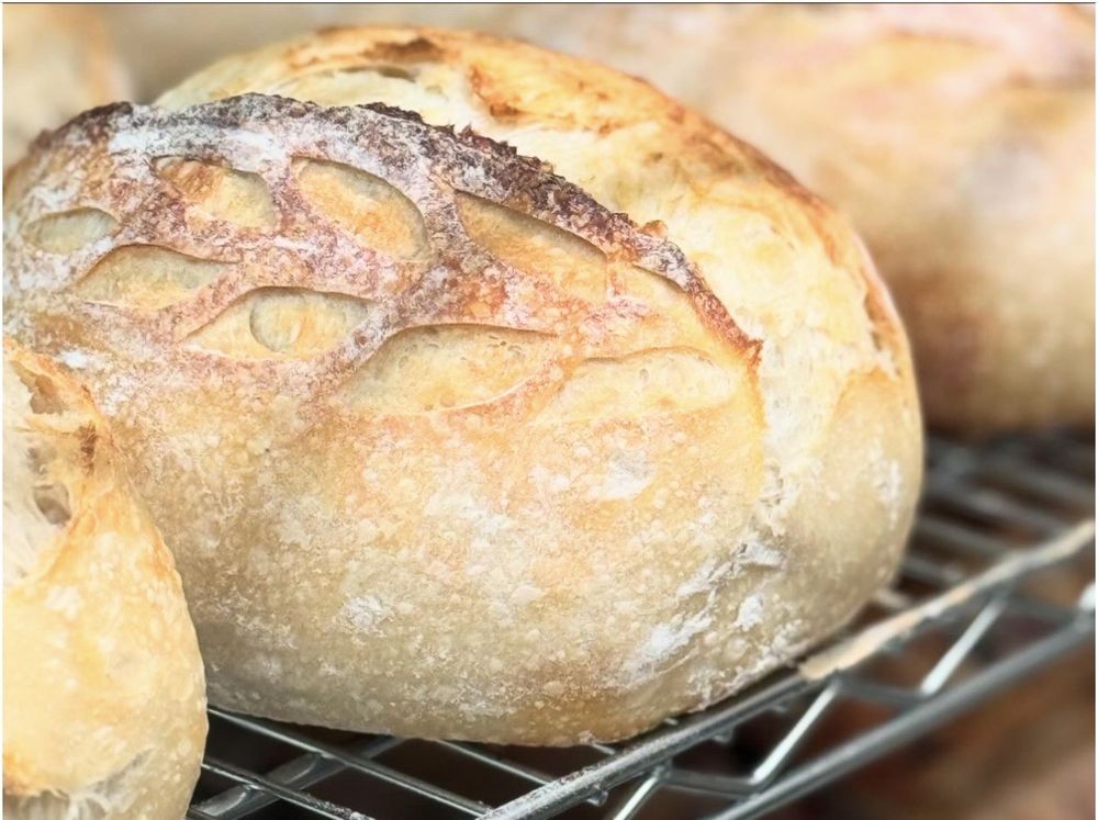 Wyld Tiger Sourdough Bakery Logo