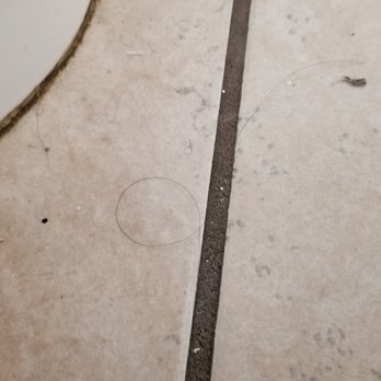 Starlight Inn - Filthy Bathroom Floor.  Hard to get my phone camera to show how nasty the floor is. - Hotels Near Me - Canoga Park, California