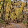 Photo of Walhalla Ravine