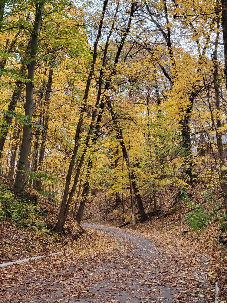 WALHALLA RAVINE Updated October 2024 18 Photos Walhalla Rd