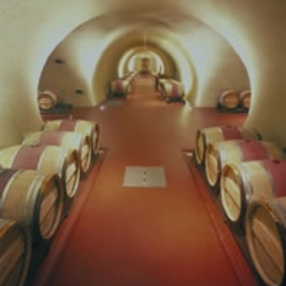 Vineyard 29 - Vineyard 29 Cave - Wineries Near Me - Saint Helena, California