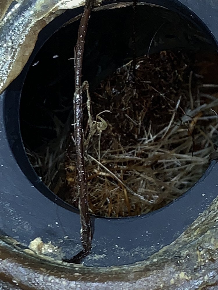 Slide of Roto-Rooter Plumbing & Water Cleanup