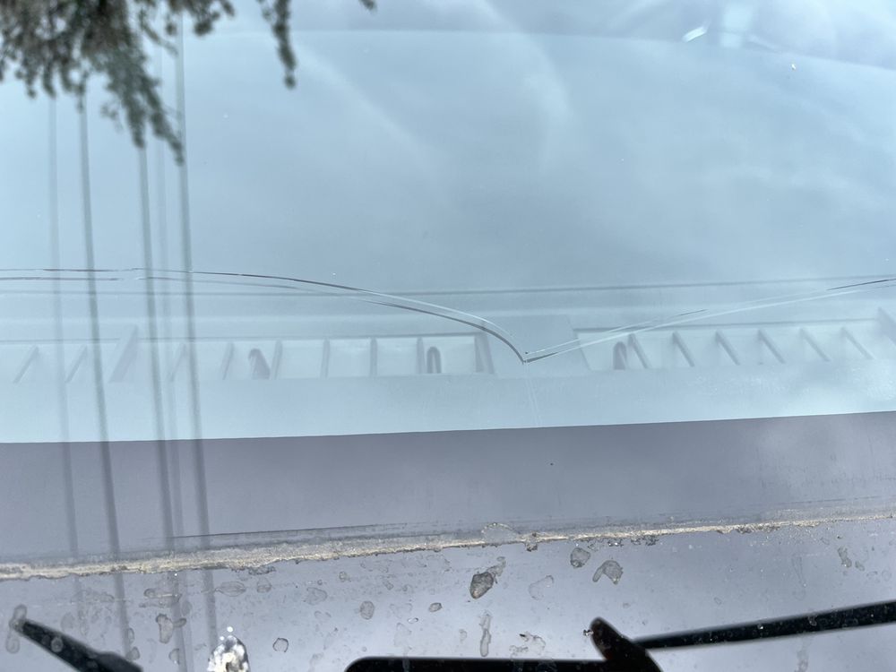 SAFELIGHT AUTOGLASS Updated September 2024 3065 Ramco St, West