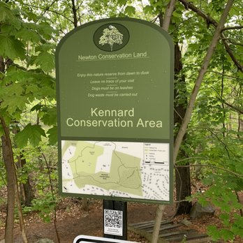 Lost Pond Reservation - Parks Near Me - Chestnut Hill, Massachusetts