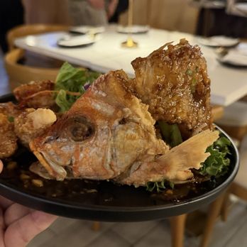 Thai Tapas - Thai Near Me - Houston, Texas Thai Tapas - Thai Near Me - Houston, Texas
