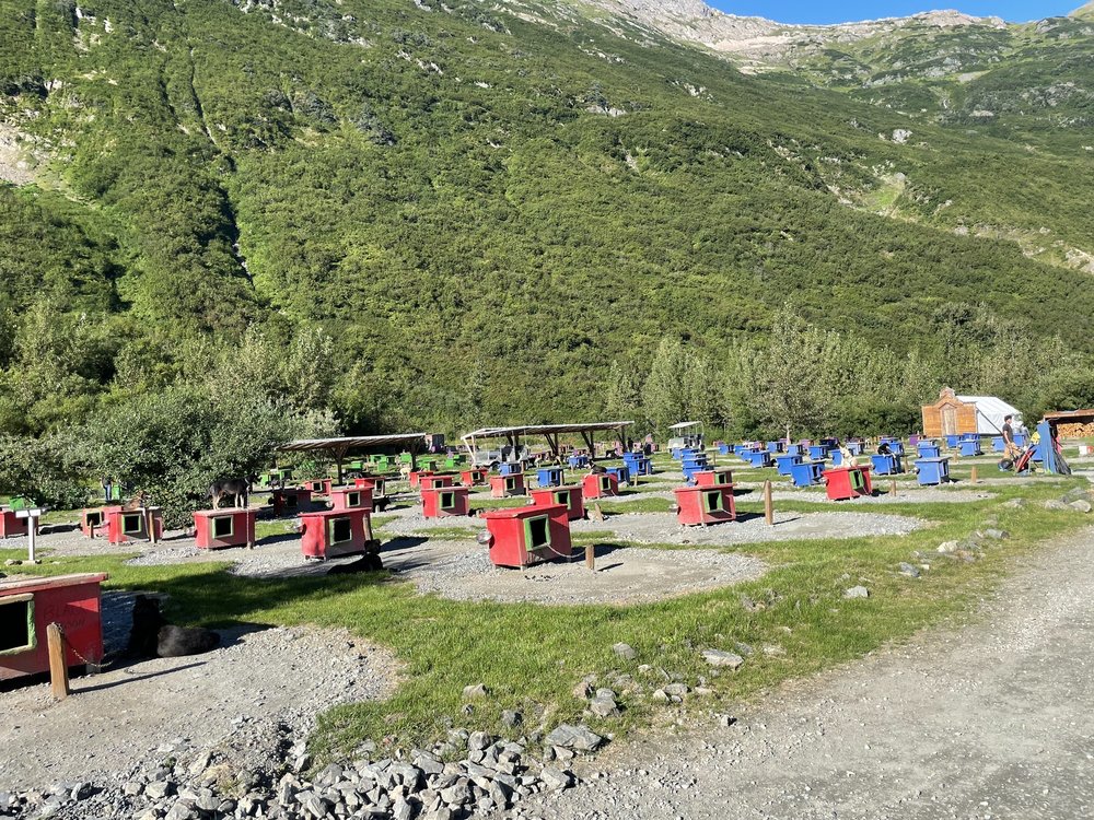 Gold Rush Dog Tours