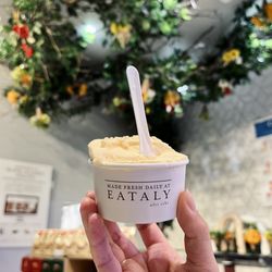 Gelato by Patrizia - Passionfruit gelato