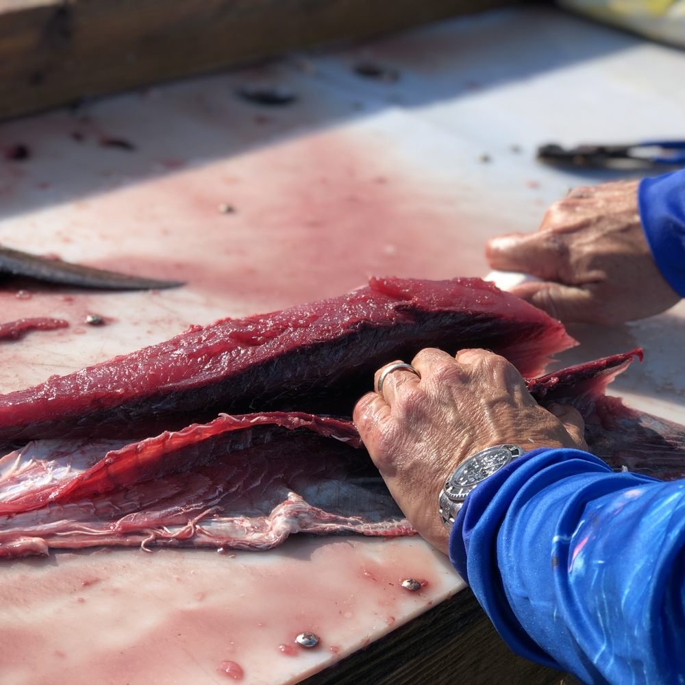 Teezher Charters - Captain Bobby making fillets! - Fishing Near Me - Emerald Isle, North Carolina