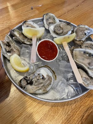 Ship Bottom Shellfish by null