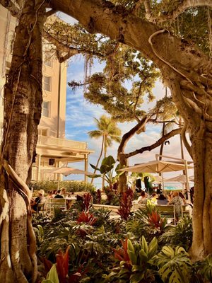 Beachhouse at the Moana by null