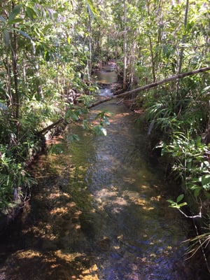 Litchfield National Park by null